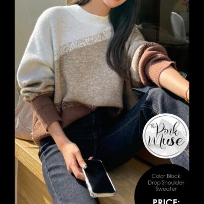 Color Block Drop Shoulder Sweater